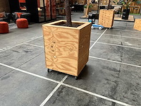 Kunstboom in verrijdbare bak 430cm hoog - kamerplant - afbeelding 2 van  4