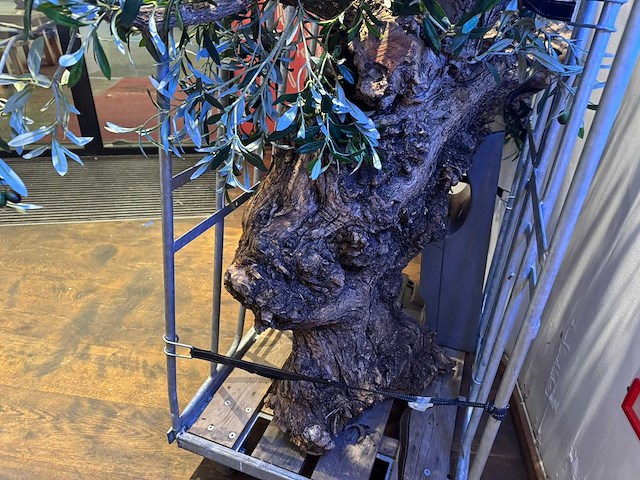Kunstboom - afbeelding 2 van  3