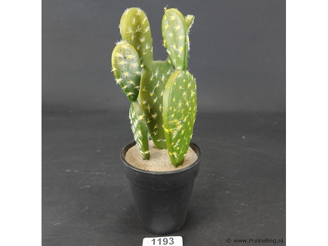 Kunstcactus - afbeelding 1 van  5
