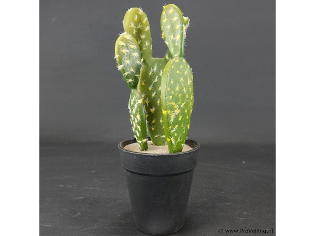 Kunstcactus - afbeelding 2 van  5