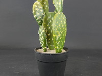Kunstcactus - afbeelding 2 van  5