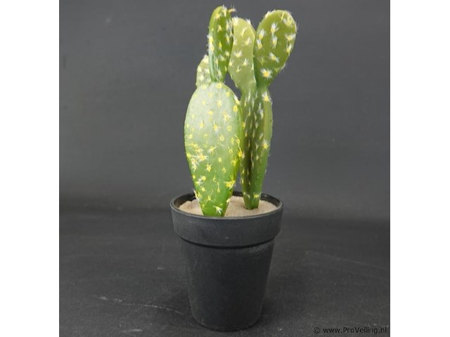 Kunstcactus - afbeelding 3 van  5