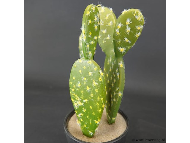 Kunstcactus - afbeelding 4 van  5