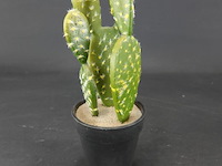 Kunstcactus - afbeelding 1 van  5