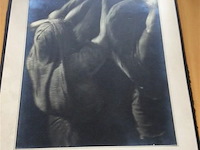 Kunstfoto h:50 b:38 - afbeelding 1 van  3