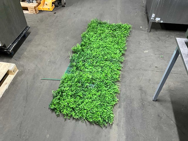 Kunstgroen - afbeelding 1 van  5