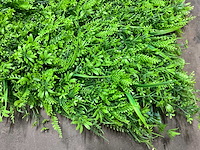 Kunstgroen - afbeelding 3 van  5