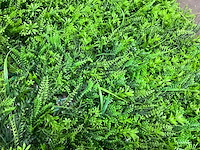 Kunstgroen - afbeelding 4 van  5