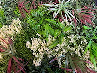 Kunsthaag wand paneel (2x) - afbeelding 6 van  8