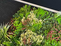 Kunsthaag wand paneel (2x) - afbeelding 5 van  6