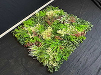 Kunsthaag wand paneel (2x) - afbeelding 2 van  8