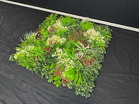 Kunsthaag wand paneel (2x) - afbeelding 1 van  5