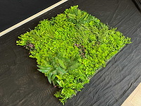 Kunsthaag wand paneel (2x) - afbeelding 2 van  11