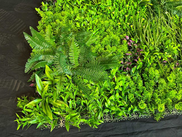 Kunsthaag wand paneel (2x) - afbeelding 7 van  11