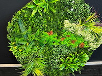 Kunsthaag wand paneel rond (2x) - afbeelding 7 van  12