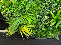 Kunsthaag wand paneel rond (2x) - afbeelding 8 van  12