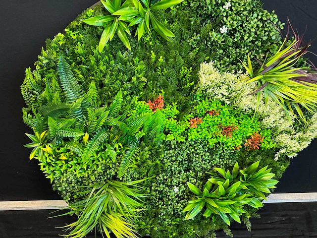 Kunsthaag wand paneel rond (2x) - afbeelding 7 van  12