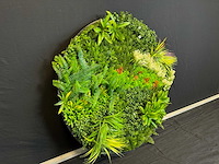 Kunsthaag wand paneel rond (2x) - afbeelding 10 van  12