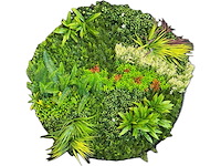 Kunsthaag wand paneel rond (2x) - afbeelding 1 van  12