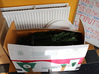 Kunstkerstboom trumf 200 cm. - afbeelding 1 van  2