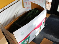 Kunstkerstboom trumf 200 cm. - afbeelding 2 van  2