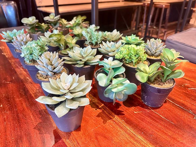 Kunstmatige vetplant in pot (21x) - afbeelding 2 van  4