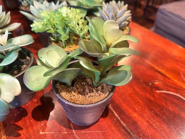 Kunstmatige vetplant in pot (21x) - afbeelding 3 van  4