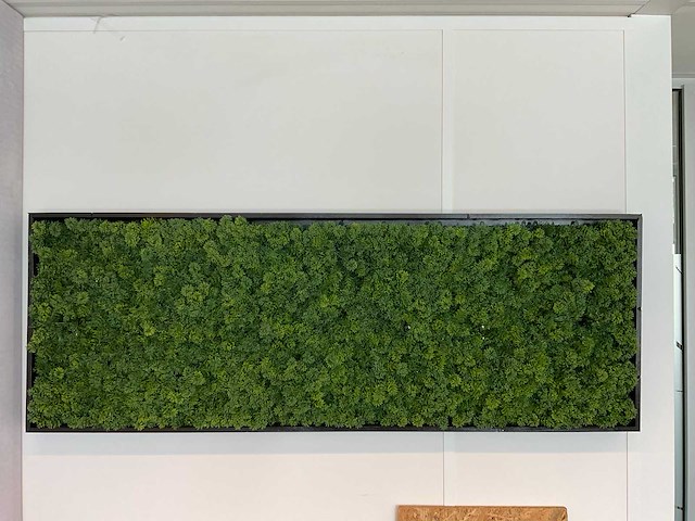 Kunstmos in lijst - afbeelding 3 van  3