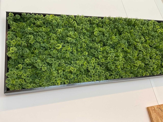 Kunstmos in lijst - afbeelding 1 van  3