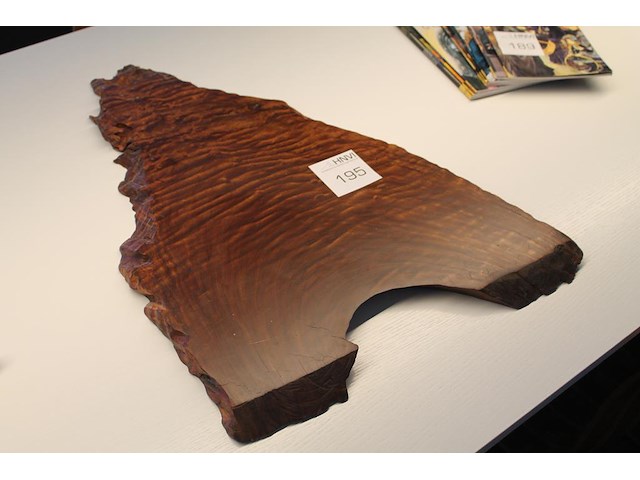 Kunstobject hout circa 50 x 70 cm met dikte 23 mm. - afbeelding 1 van  3