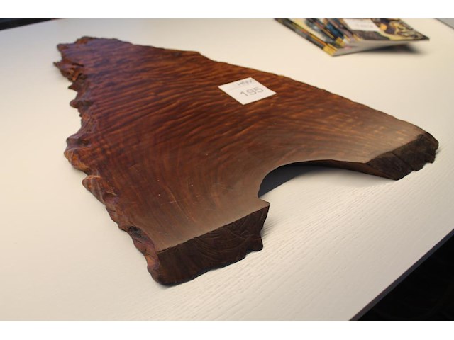 Kunstobject hout circa 50 x 70 cm met dikte 23 mm. - afbeelding 3 van  3