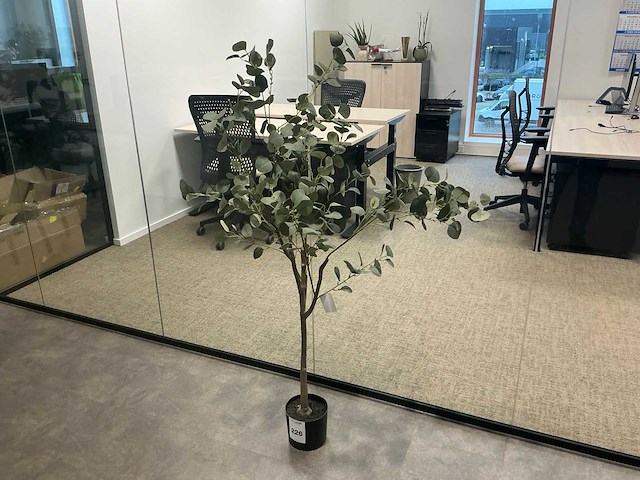 Kunstolijfboom - afbeelding 1 van  3