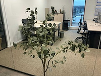 Kunstolijfboom - afbeelding 2 van  3