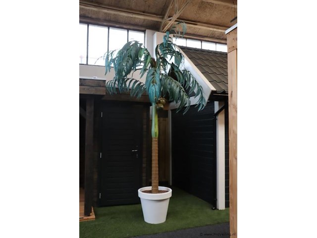 Kunstpalm in pot - ø 56cm x 280cm (h) - afbeelding 1 van  5