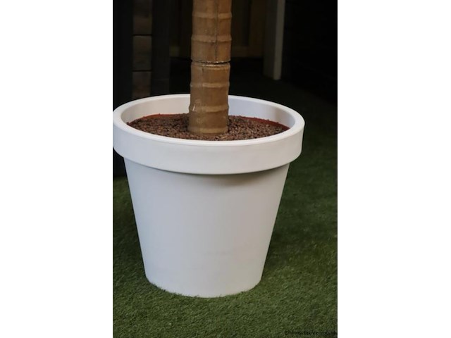 Kunstpalm in pot - ø 56cm x 280cm (h) - afbeelding 2 van  5
