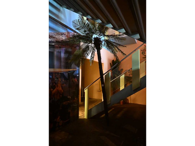 Kunstpalmboom (2x) - afbeelding 3 van  4