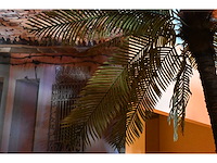 Kunstpalmboom (2x) - afbeelding 4 van  4