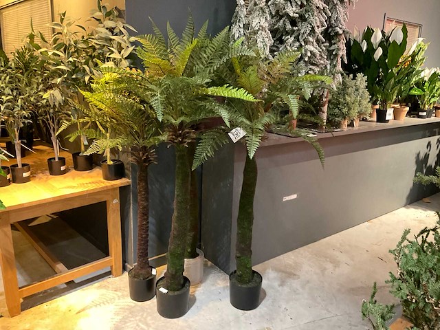 Kunstpalmen - afbeelding 1 van  5