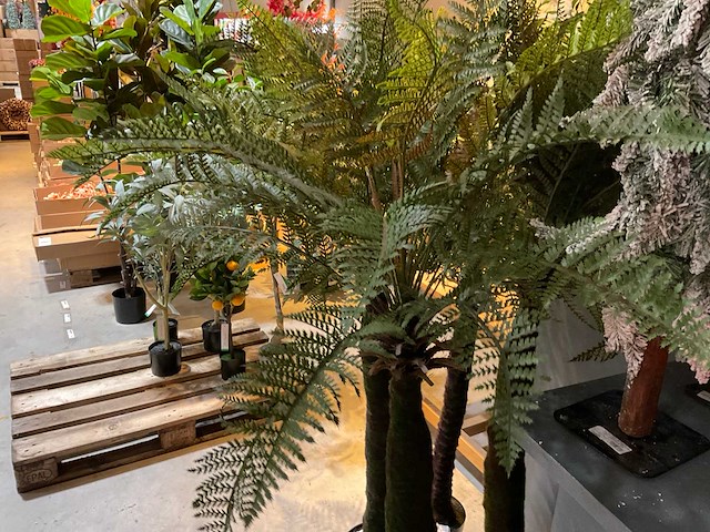 Kunstpalmen - afbeelding 2 van  5