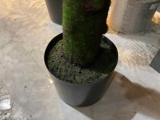 Kunstpalmen - afbeelding 3 van  5