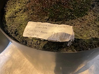 Kunstpalmen - afbeelding 5 van  5