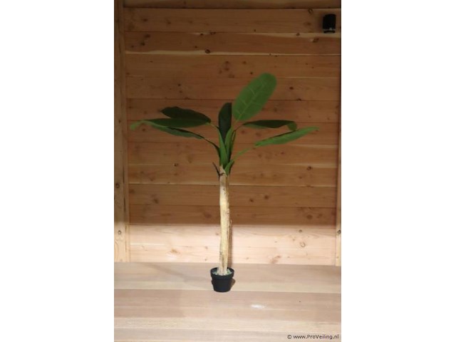 Kunstplant - 155cm (h) - afbeelding 1 van  2