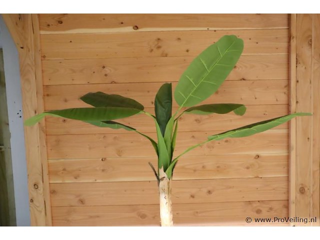 Kunstplant - 155cm (h) - afbeelding 2 van  2