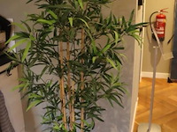 Kunstplant - 170cm (h) - afbeelding 1 van  3