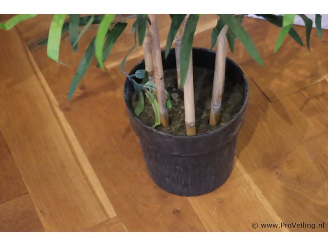 Kunstplant - 170cm (h) - afbeelding 3 van  3