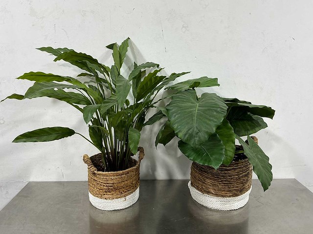 Kunstplant (2x) - afbeelding 1 van  5