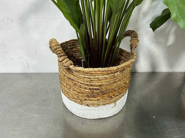 Kunstplant (2x) - afbeelding 3 van  5