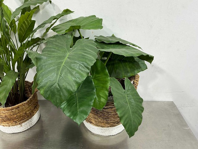 Kunstplant (2x) - afbeelding 4 van  5