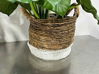 Kunstplant (2x) - afbeelding 5 van  5