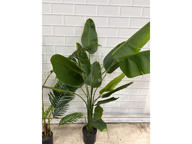 Kunstplant (2x) - afbeelding 4 van  5